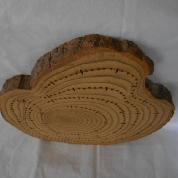 Live Edge Wood HANDMADE Cribbage Board round cookie - Picture 5 of 6